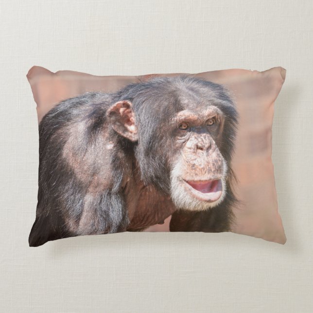 Light and Stillness – Chimpanzee Stance Decorative Cushion (Front)