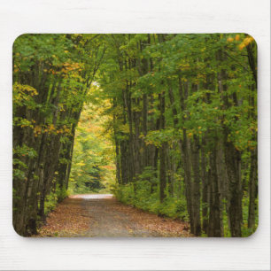 Light At The End Of A Tunnel Of Trees Mouse Pad