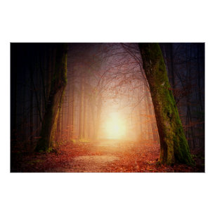 Light at the End of the Forest Poster