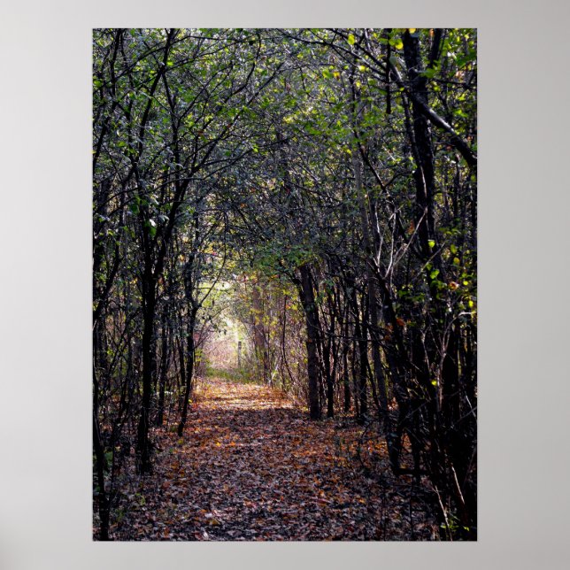 Light at the End of the Path Poster (Front)