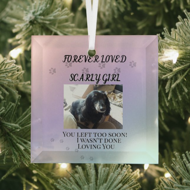Light Beyond the Rainbow Tribute Glass Tree Decoration (Insitu)