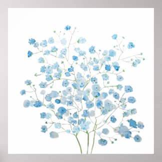 light blue Baby Breath Bouquet  gypsophila  Poster