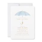 Light Blue Boy Baby Sprinkle Shower Event |