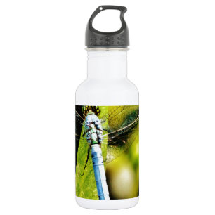 Light Blue Dragonfly 532 Ml Water Bottle