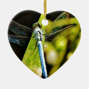 Light Blue Dragonfly Ceramic Tree Decoration