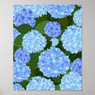 Light Blue Hydrangeas Poster