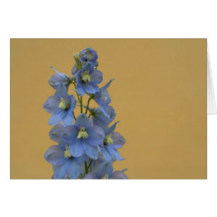 Light-Blue Larkspur