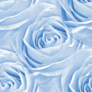 Iphone Wallpaper Blue Roses Rose, blue, light wallpaper for free download in different resolution ( hd widescreen 4k 5k 8k ultra hd ), wallpaper support different devices like desktop pc or laptop, mobile and tablet. iphone wallpaper blue roses