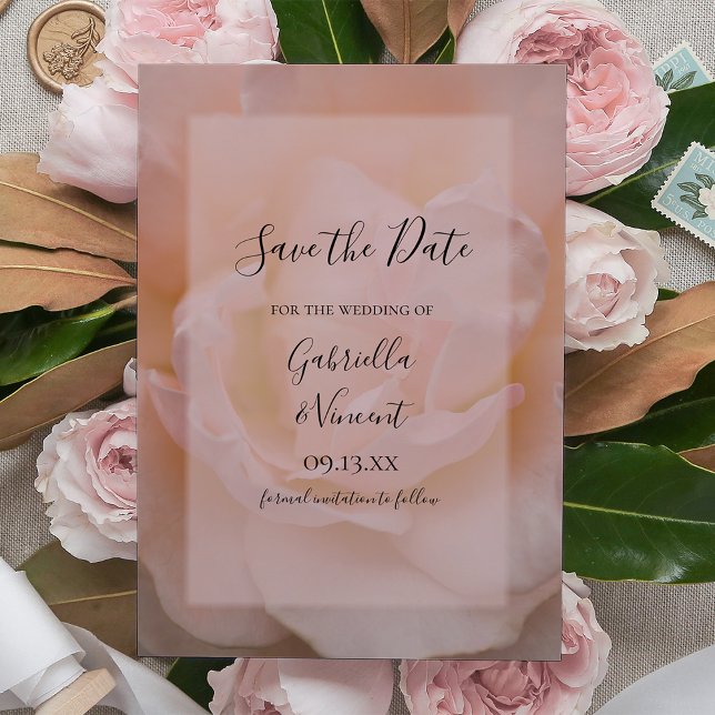 Light Blush Pink Rose Floral Wedding Save the Date Invitation (Creator Uploaded)