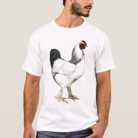 Light Brahma Rooster Poultry Farmer Chicken Chef