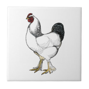 Light Brahma Rooster Vintage Style Farm Kitchen Tile