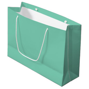 Light Coastal Green Solid Colour Large Gift Bag