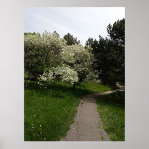 Light, Dark and Opposing Sides Poster
