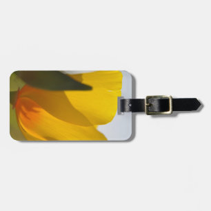 Light Filled Poppy Luggage Tag