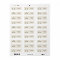 Light Green Bicycle Address Label