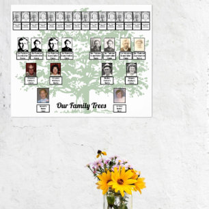 Light Green Leafage Tree Drawing Two Family Trees  Poster