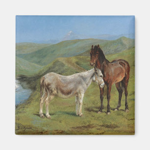 Light Grey Horse in a Field (Equine Farm Animal) Magnet