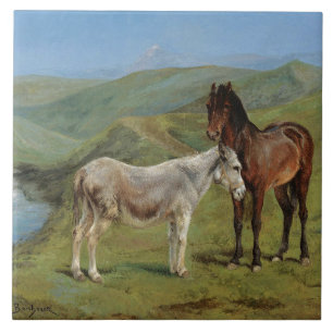 Light Grey Horse in a Field (Equine Farm Animal) Tile