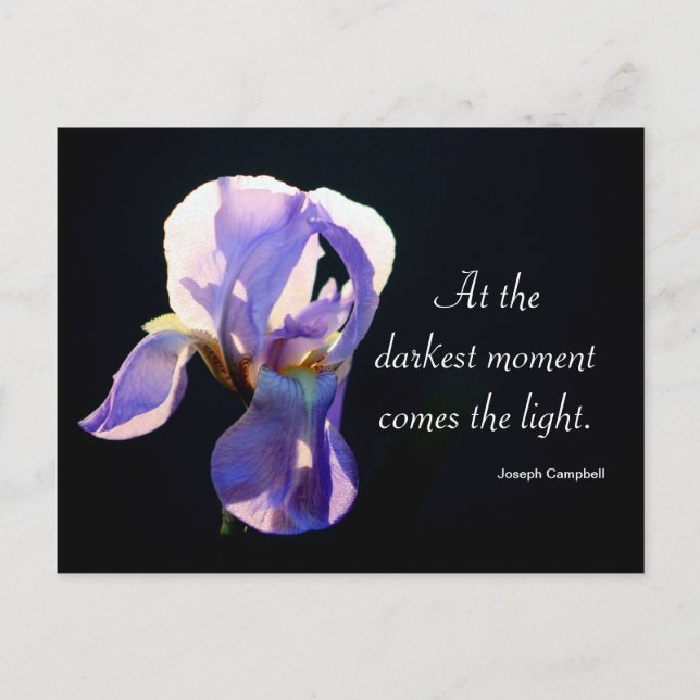 Light In The Darkness Iris Photography & Quote Postcard (Front)