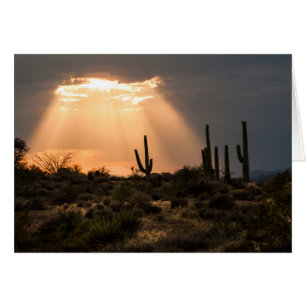 Light in the Desert
