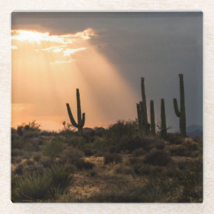 Light in the Desert Glass Coaster