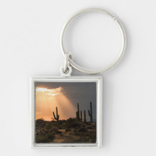 Light in the Desert Key Ring