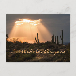 Light in the Desert Scottsdale, AZ Postcard