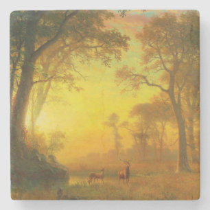 Light in the Forest (by Albert Bierstadt) Stone Coaster