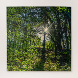 Light in the Forest Jigsaw Puzzle