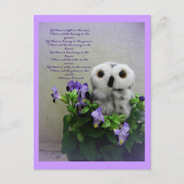 Light In The Soul Postcard (Front)