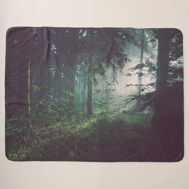 LIGHT in the WOODS Sherpa Blanket (Front (Horizontal))