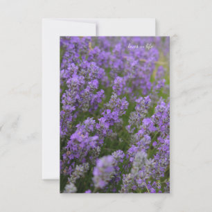 Light Lavender Plants Card