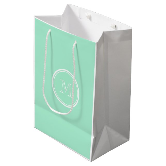 Light Mint Green High End Coloured Matching Medium Gift Bag (Front Angled)