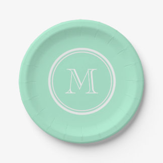 Light Mint Green High End Coloured Matching Paper Plate