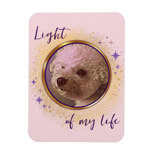Light of My Life Magnet