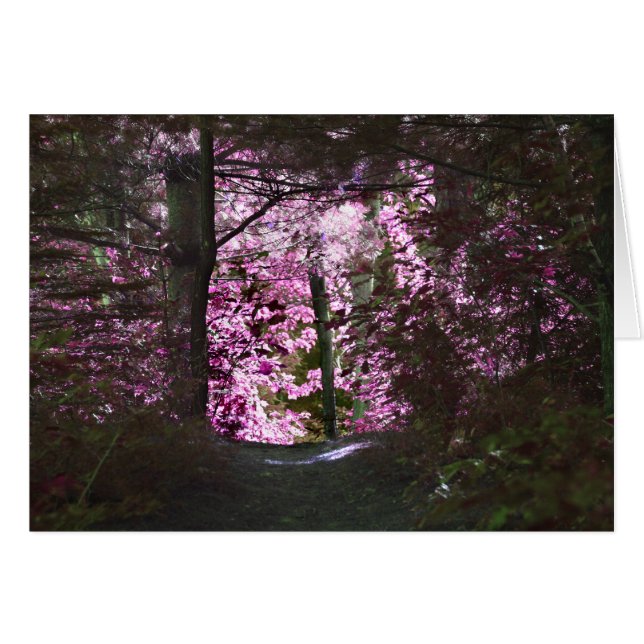 Light On Path Nature Card (Front Horizontal)