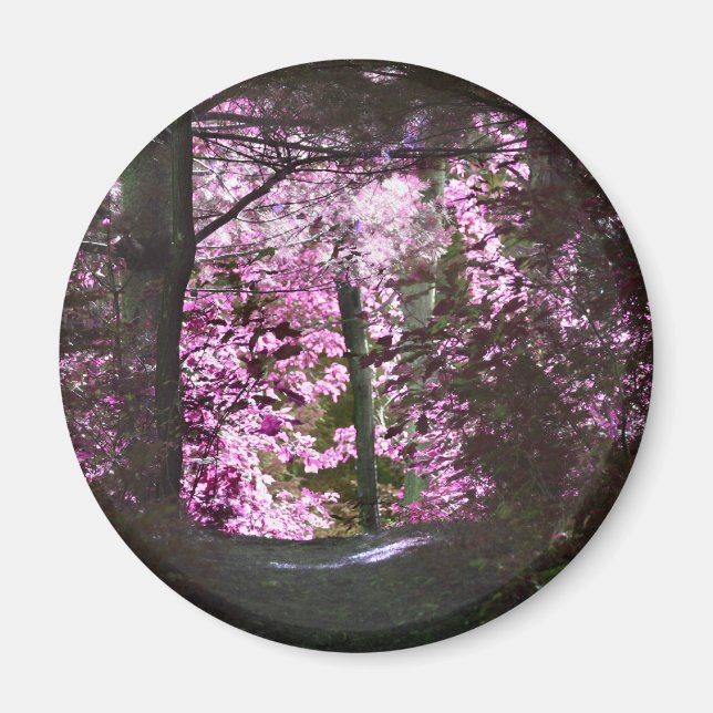 Light On Path Nature Magnet (Front)