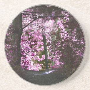 Light On The Path Nature Coaster