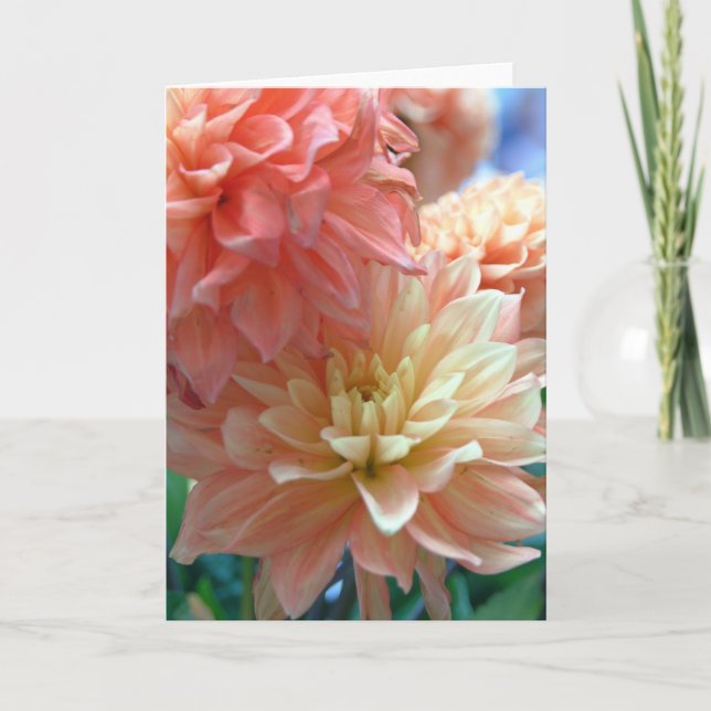 light orange dahlias 2 card (Front)