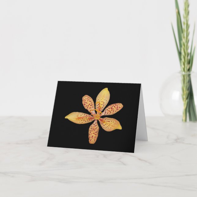 Light orange spotted Blackberry lily on a Card (Front)