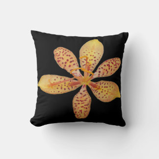 Light orange spotted Blackberry lily on a Cushion
