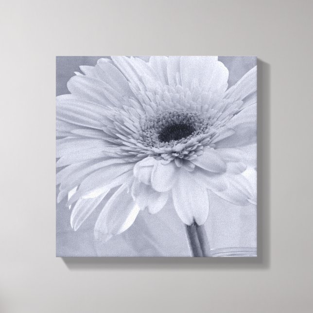 Light Pale Blue Daisy Flower Canvas Print (Front)