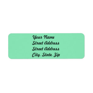 Light Pastel Mint Green Return Address Sticker