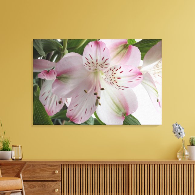 Light Pink Alstroemeria Canvas Print (Insitu(LivingRoom))
