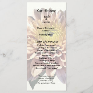 Light Pink Chrysanthemums Programme