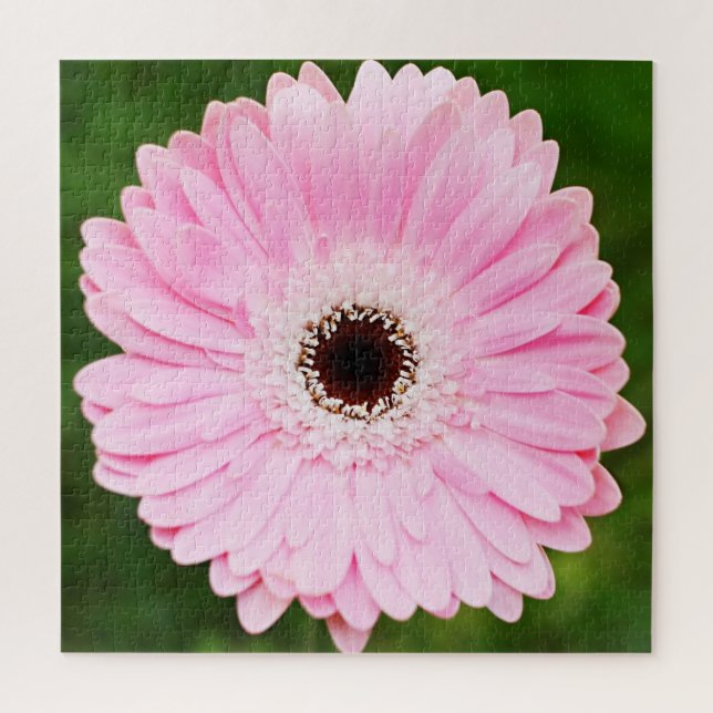 Light Pink Gerbera Daisy Floral Jigsaw Puzzle (Vertical)