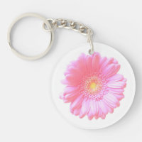 Light pink gerbera daisy