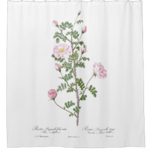 Light Pink Girly Flower Cottage  Shower Curtain