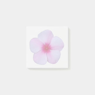 Light Pink Phlox Sticky Notes
