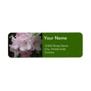 light pink rhododendron flowers address label